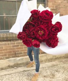 86289099_2278943452207742_7268955294888099840_n